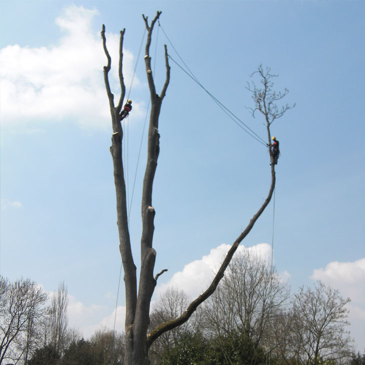 Démontage d'arbre